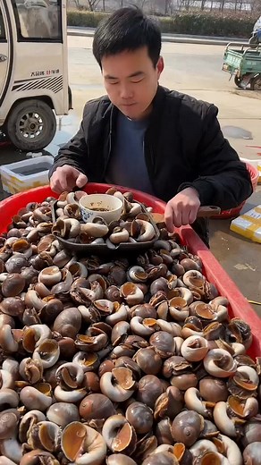 #Seashell #Seafood #Seafood Delicacy | honey man