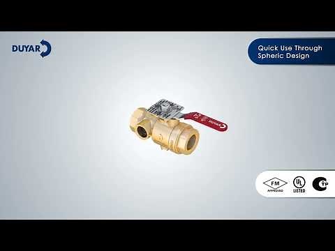 Test and Drain Valve