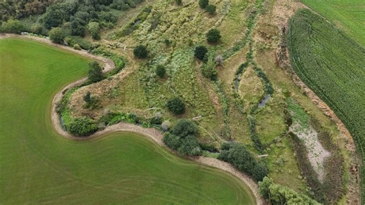 River Mease project wins national restoration award - Trent Rivers Trust