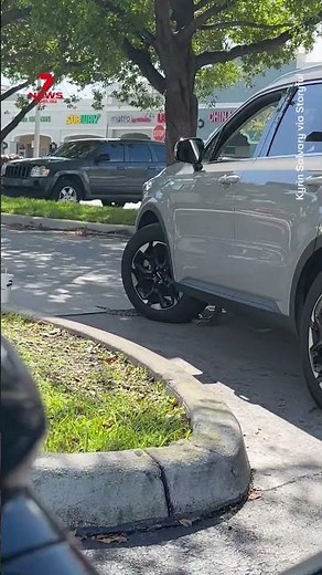 Moment snake slithers into car in drive-thru queue