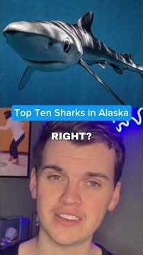 Top Ten Sharks in Alaska #alaska #shark