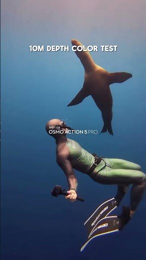 GoPro HERO 13 vs DJI Osmo Action 5 Pro: Ultimate Underwater Camera Test in Mexico! 4K60fps Unedited