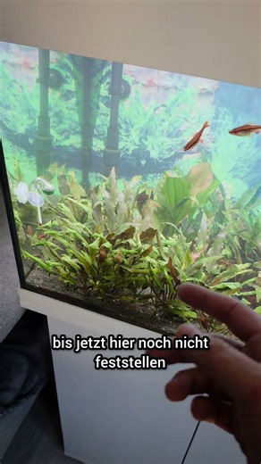 Was hatte der Stromausfall beim Aquarium für Auswirkungen?