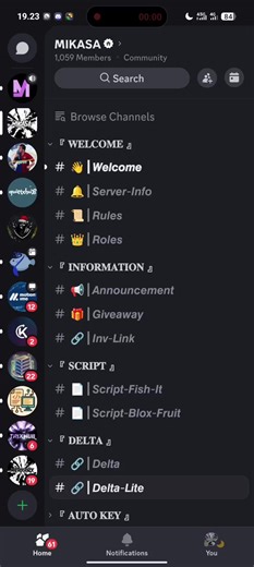 Complete Guide to Download Delta Lite for Discord