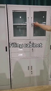 Modern 2-Door Metal Tall Storage Cabinet for Home Office & Workshop Adjustable Steel Cupboard Locking Shelves Filing Cabinet