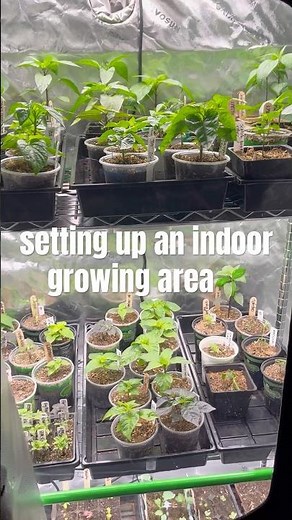 🌱setting up an indoor grow area - details⬇️