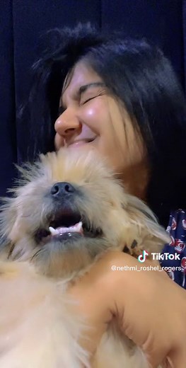 Fluffy Dog Being Cuddled: A Heartwarming Moment