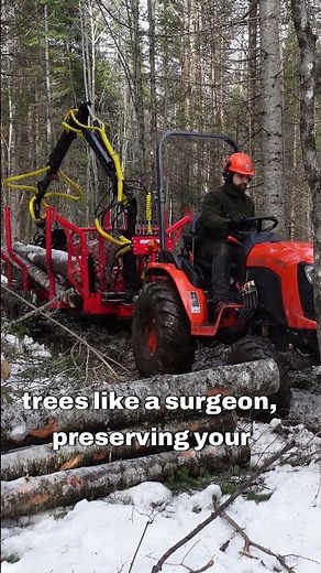 The Advantage of Small Scale Logging #forestry #silviculture #forestmanagement#logging