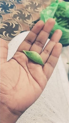 got this baby Yoda head shaped pea BTW anyone wants to get it