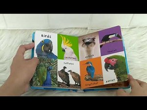 First 100 Animals Board Book