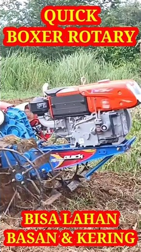 Quick Boxer Rotary Can be used on wet and dry land. #quick #tractor #rotary