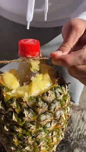 9.3K views · 92 reactions | The CRAZIEST Pineapple Hacks!  | Cam Casey | Facebook