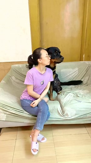 17K views · 648 reactions | There is no problem that a pair of slippers cannot solve  #dog #dogfunny #yituo | Dog Yi Tuo | Facebook