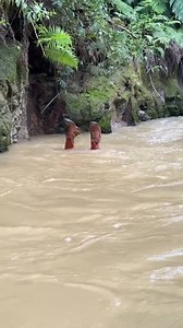 188K views · 566 reactions |  | Mtetezi Dennis | Facebook