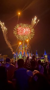 Happily Ever After! | See WDW