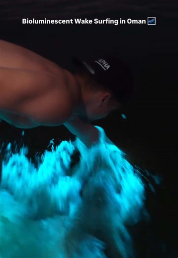 bioluminescence in muscat.. #oman #مسقط #tiktok #trinding #dubai #muscat