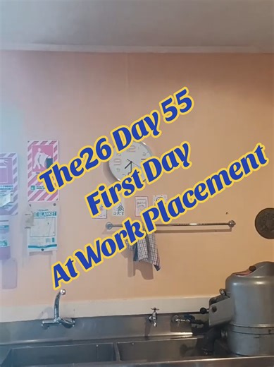 First Day of Work Placement Experience