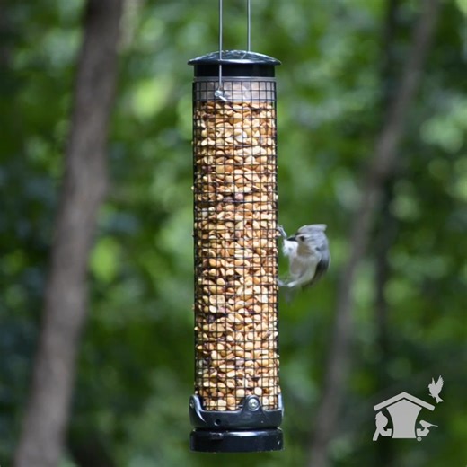 Wild Birds Unlimited is your fall feeding destination—from suet to seed, we’ll keep your feathered friends fueled all season. 🐦✨ | Wild Birds Unlimited
