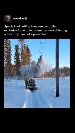 The Controlled Explosion That Drops Trees Away From Powerlines 🔌💥 #shorts