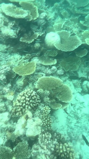 Donna75 (@littlemisssparkle_)’s videos with original sound - Donna75