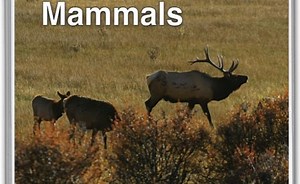 Sorry, we have encountered a problem. - Alexander Street, a ProQuest Company