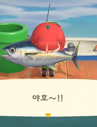 모동숲 다랑어 잡기(물고기 도감 클리어🥳)
