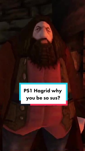 Hilarious PS1 Hagrid Moments in Harry Potter