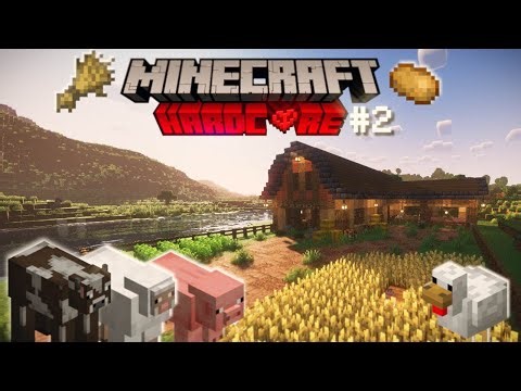 My Hardcore World Is Finally Coming Together