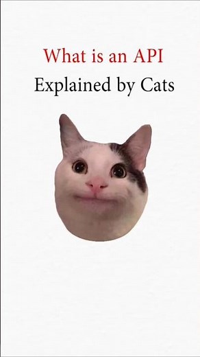 API explained by cats! #coding #programming #development #cat #animation #learning