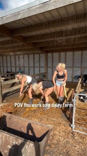 YOU WORK ON A DAIRY FARM 🐄🥛