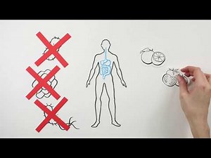 Microbiota Humana: somos ecosistemas andantes