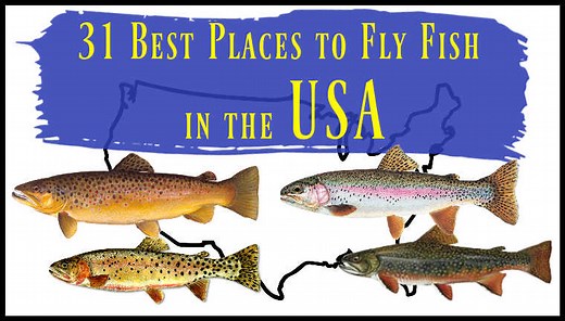 31 Best Places to Fly Fish in the USA (Maps, Flies and More) - Guide Recommended