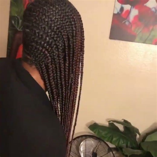 Best Lemonade Braids San Diego Braiding Salon