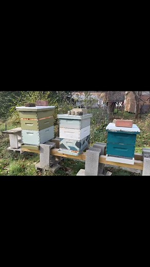 What’s going on in the apiary today?  It’s warm(ish) and sunny ☀️ so...