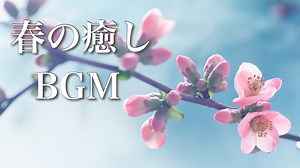 春の癒しBGM ～心がじんわり温まる、優しい音色～【リラックス音楽】
