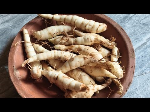 Arrow root kizhangu/traditional food recipes #food#arrow root#healthy