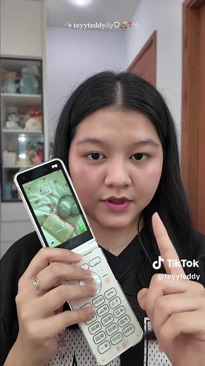 Samsung Folder 2: My Favorite Phone in 2025