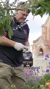 Ready to be like Martin and take the leap? Franchising makes business ownership smooth and simple! Enquire today! #franchising #smallbusiness #pestcontrol #smallbiz #franchise #franchisebusiness | The Local Guys - Pest Control | Facebook