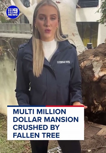 Fallen Tree Destroys Multi‑Million Dollar Home in Peppermint Grove