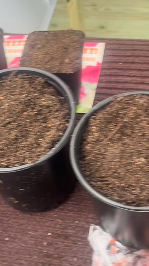 1.2K views · 37 reactions | 150 Spring Flower Bulbs Planted. It’s going to be a gorgeous Spring!    | Robin Burton | Facebook