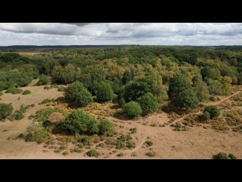 The Ecologic SIPs Customer Journey | From First Visit to Finished Build