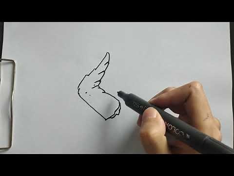 How to draw chicken wing
