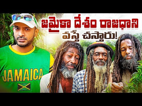 Things To Do In Kingston Jamaica