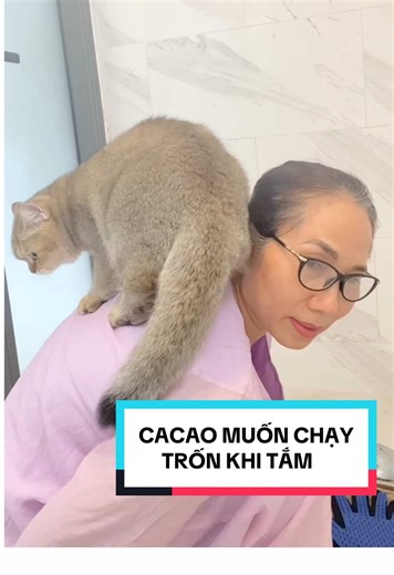 Tắm cho Cacao: Cuộc chiến giành sự sạch sẽ
