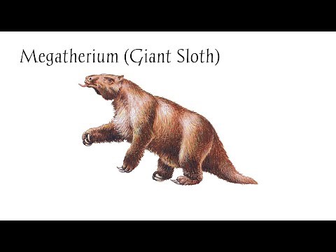 Megatherium Sound – The Roar of the Giant Ground Sloth