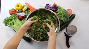 Stainless Steel Salad Cutter Bowl with Chef Grade Mezzaluna Ultra-Fast Salad Prep