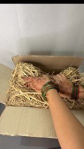 1.3M views · 7.1K reactions | Follow and comment for product links﫠 @meeshoapp meesho kitchen, find Sil Batta Khal Batta Review | Anjali Jaiswal | Facebook