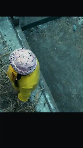 Good movie tip: Don't skip this. #storytelling #recap #movie #scene #filmclips