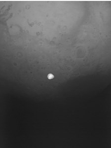 Just in! 📸 The first images from yesterday’s #HeraMission flyby of Mars and its moon Deimos. 👇 https://www.esa.int/Space_Safety/Hera/Hera_asteroid_mission_spies_Mars_s_Deimos_moon | ESA - European Space Agency