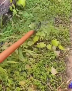 3K reactions · 383 shares |  NOU pe piața internă   pentru doar 64.99 lei.  PRONGSPRO disponibil aici https://vigoshop.ro/produs/blade5-weeding-rake-tool-2/?sp=7764i997 | vigoshop | Facebook